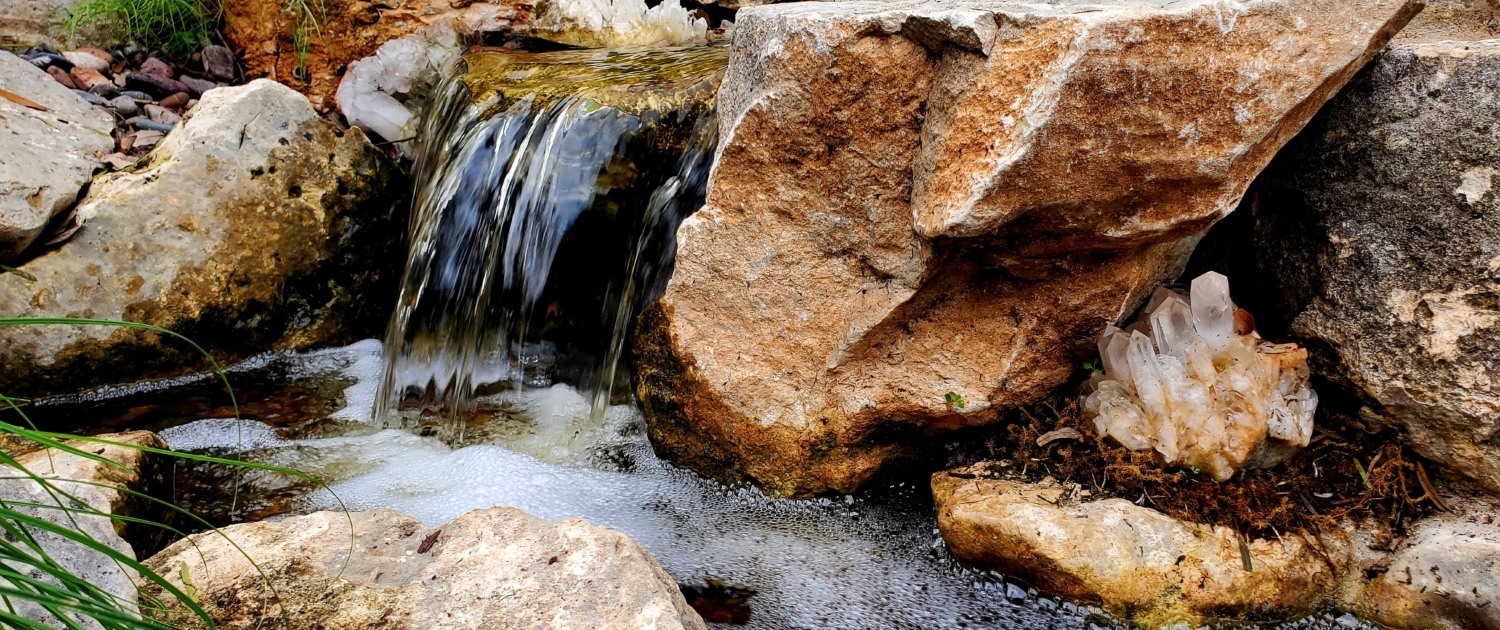 Bringing Art, Nature & Calm to The Octopus House in Austin blog image